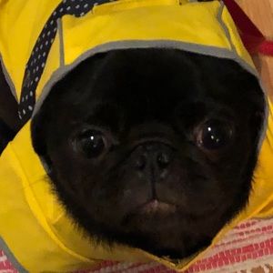 Meet your Posher, Karita